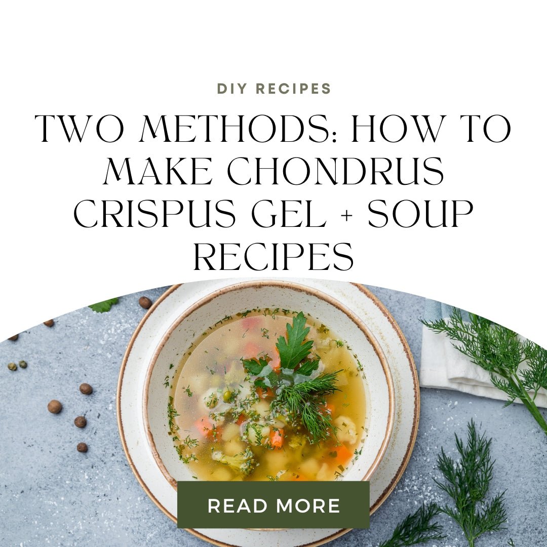 Two Methods: How to Make Chondrus Crispus Gel  + Soup Recipes - Go Natural 247